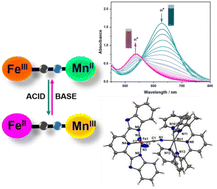 Graphical abstract: Observation of protonation-induced intra-molecular metal-to-metal charge transfer in cyano-bridged [Fe–CN–Mn/Ni] dinuclear complexes
