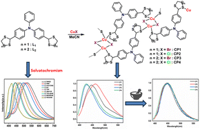 Graphical abstract: Solvatochromic behaviour of cyclic dithioether-functionalized triphenylamine ligands and their mechano-responsive Cu(i) coordination polymers