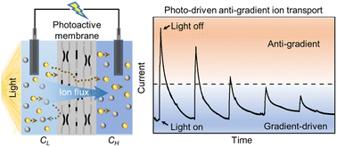 Graphical abstract: Efficient photo-driven ion pump through slightly reduced vertical graphene oxide membranes