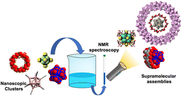 Graphical abstract: NMR spectroscopy to study cyclodextrin-based host–guest assemblies with polynuclear clusters