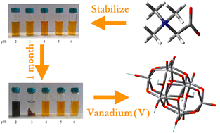 Graphical abstract: Betaine mediated enhancement of thermal stability and acidity tolerance of vanadium(v) solutions