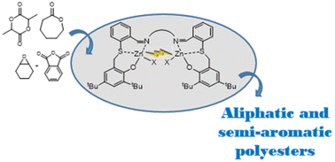 Graphical abstract: Cooperative effects of Schiff base binuclear zinc complexes on the synthesis of aliphatic and semi-aromatic polyesters