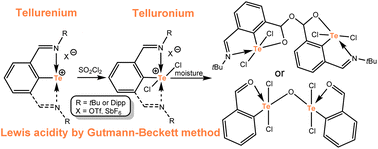 Graphical abstract: N-Coordinated tellurenium(ii) and telluronium(iv) cations: synthesis, structure and hydrolysis