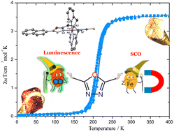 Graphical abstract: Synergetic spin singlet–quintet switching and luminescence in mononuclear Fe(ii) 1,3,4-oxadiazole tetradentate chelates with NCBH3 co-ligand