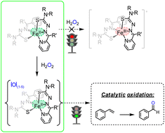 Graphical abstract: Fe(ii) complexes of pyridine-substituted thiosemicarbazone ligands as catalysts for oxidations with hydrogen peroxide