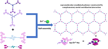 Graphical abstract: A fluorescent controllable supramolecular crosslinked polymer constructed by complementary metal coordination interaction