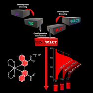 Graphical abstract: Featuring long-lifetime deep-red emitting iridiumIII complexes with high colour purity: insights into the excited state dynamics from spectroscopic and theoretical perspectives