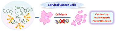 Graphical abstract: Trinuclear rhenium(i)-based metallocages as anticancer agents towards human cervical cancer cells