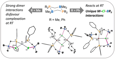 Graphical abstract: A comparison of the coordination behaviour of R2PCH2BMe2 (R = Me vs. Ph) ambiphilic ligands with late transition metals