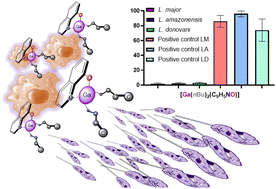 Graphical abstract: Structure–activity effects in the anti-leishmanial activity of di-alkyl gallium quinolin-8-olates