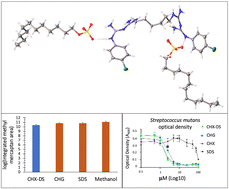 Graphical abstract: Novel anionic surfactant-modified chlorhexidine and its potent antimicrobial properties