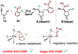 Graphical abstract: Mechanism and origins of cobalt-catalyzed ligand-controlled regiodivergent C–H functionalization of aldehydes with enynes