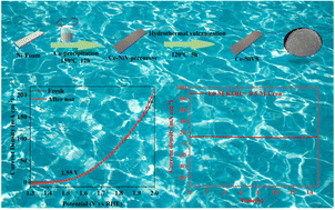 Graphical abstract: Controlled synthesis of M doped NiVS (M = Co, Ce and Cr) as a robust electrocatalyst for urea electrolysis