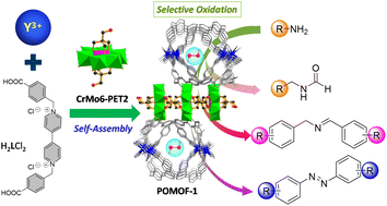 Graphical abstract: A porous Anderson-type polyoxometalate-based metal–organic framework as a multifunctional platform for selective oxidative coupling with amines