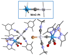 Graphical abstract: Isonitrile μ2-carbido complexes