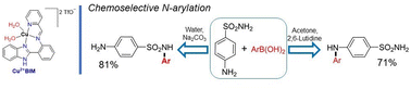 Graphical abstract: Copper complexes for the chemoselective N-arylation of arylamines and sulfanilamides via Chan–Evans–Lam cross-coupling