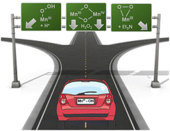 Graphical abstract: Reaction landscape of a mononuclear MnIII–hydroxo complex with hydrogen peroxide