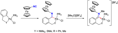 Graphical abstract: Synthesis and reactivity of Pd(ii) imidoyl complexes obtained by insertion of isocyanoferrocene into the Pd–C bonds of orthopalladated precursors
