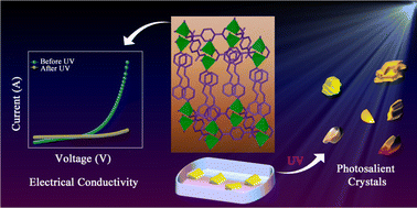 Graphical abstract: A dual-functional 2D coordination polymer exhibiting photomechanical and electrically conductive behaviours