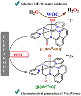 Graphical abstract: Electrochemical generation of high-valent oxo-manganese complexes featuring an anionic N5 ligand and their role in O–O bond formation