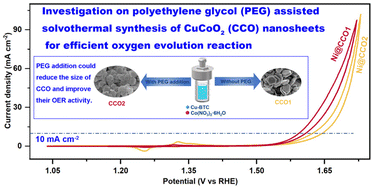 Graphical abstract: Investigation of polyethylene glycol (PEG) assisted solvothermal synthesis of CuCoO2 nanosheets for efficient oxygen evolution reaction
