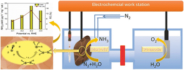 Graphical abstract: Nitrogen-vacancy-rich molybdenum nitride nanosheets as highly efficient electrocatalysts for nitrogen reduction reaction