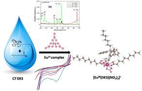 Graphical abstract: Understanding the excited state dynamics and redox behavior of highly luminescent and electrochemically active Eu(iii)–DES complex