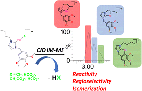 Graphical abstract: Ion mobility mass spectrometry uncovers regioselectivity in the carboxylate-assisted C–H activation of palladium N-heterocyclic carbene complexes