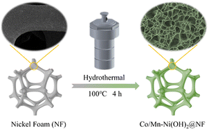 Graphical abstract: Dual cation-modified hierarchical nickel hydroxide nanosheet arrays as efficient and robust electrocatalysts for the urea oxidation reaction