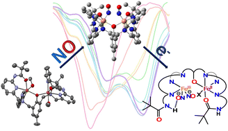 Graphical abstract: Exploring second coordination sphere effects in flavodiiron nitric oxide reductase model complexes