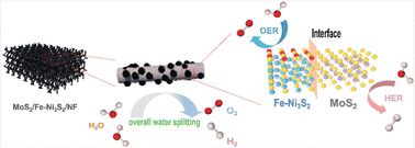 Graphical abstract: Ni(OH)2-derived lamellar MoS2/Ni3S2/NF with Fe-doped heterojunction catalysts for efficient overall water splitting
