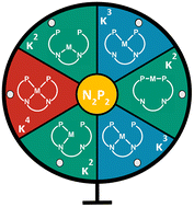 Graphical abstract: Kappa what? Insights into the coordination modes of N2P2 ligands