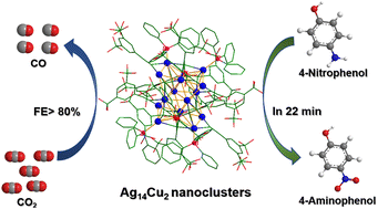 Graphical abstract: Synthesis, structure anatomy, and catalytic properties of Ag14Cu2 nanoclusters co-protected by alkynyl and phosphine ligands