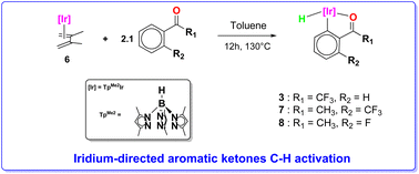 Graphical abstract: CH bond activation in aromatic ketones mediated by iridium-tris(pyrazolyl)borate complexes