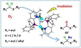 Graphical abstract: Photocatalytic C(sp3)–H bond functionalization by Cu(i) halide cluster-mediated O2 activation