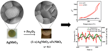 Graphical abstract: Dielectric, pyroelectric, and ferroelectric studies in (1 − x)AgNbO3–xFeNbO4 lead-free ceramics