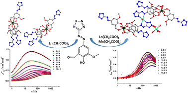 Graphical abstract: LnIII/MnII–LnIII complexes derived from a salicylic azo dye ligand: synthesis, structures, magnetic and fluorescence properties