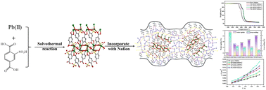 Graphical abstract: A simple MOF constructed using Pb(ii) with strong polarizing force: a filler of Nafion membrane to increase proton conductivity