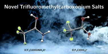 Graphical abstract: Synthesis and characterization of trifluoromethylcarboxonium salts