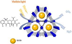 Graphical abstract: Highly porous BiOBr@NU-1000 Z-scheme heterojunctions for synergistic efficient adsorption and photocatalytic degradation of tetracycline