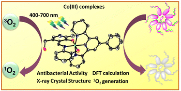 Graphical abstract: Polypyridyl-based Co(iii) complexes of vitamin B6 Schiff base for photoactivated antibacterial therapy