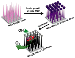 Graphical abstract: In situ growth of NiCo-MOF and the derived NiCo2O4/NiCo2O4/Ni foam composite with a wire-penetrated-cage hierarchical architecture for an efficient oxygen evolution reaction