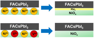 Graphical abstract: Critical role of dopant in NiOx hole transport layer for mitigating redox reactivity at NiOx/absorber interface in mixed cation perovskite solar cells