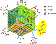 Graphical abstract: Investigation of Ni–Cu-acid multifunctional synergism in NiCu-phyllosilicate catalysts toward the 1,4-butynediol hydrogenation to 1,4-butanediol