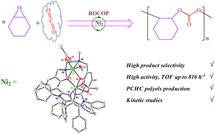 Graphical abstract: Bimetallic nickel complexes containing imidazole-based phenolate ligands as efficient catalysts for the copolymerization of carbon dioxide with epoxides