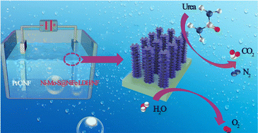 Graphical abstract: 1D/2D core–shell structure Ni–Mo–S@NiFe LDH grown on nickel foam: a bifunctional electrocatalyst for efficient oxygen evolution and urea oxidation reactions