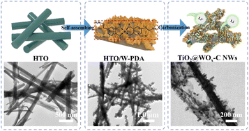 Graphical abstract: Anchoring tungsten oxide nanorods on TiO2 nanowires coupled with carbon for efficient lithium-ion storage