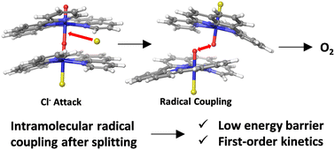 Graphical abstract: O–O bond formation via radical coupling in a dinuclear iron water oxidation catalyst with high catalytic activity