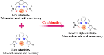 Graphical abstract: New asymmetric tetradentate phenanthroline chelators with pyrazole and amide groups for complexation and solvent extraction of Ln(iii)/Am(iii)