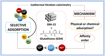 Graphical abstract: Competitive adsorption mechanisms of Cd(ii), Cu(ii) and Pb(ii) on bioinspired mesoporous silica revealed by complementary adsorption/isothermal titration calorimetry studies